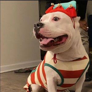 Meet your Posher, Marjani